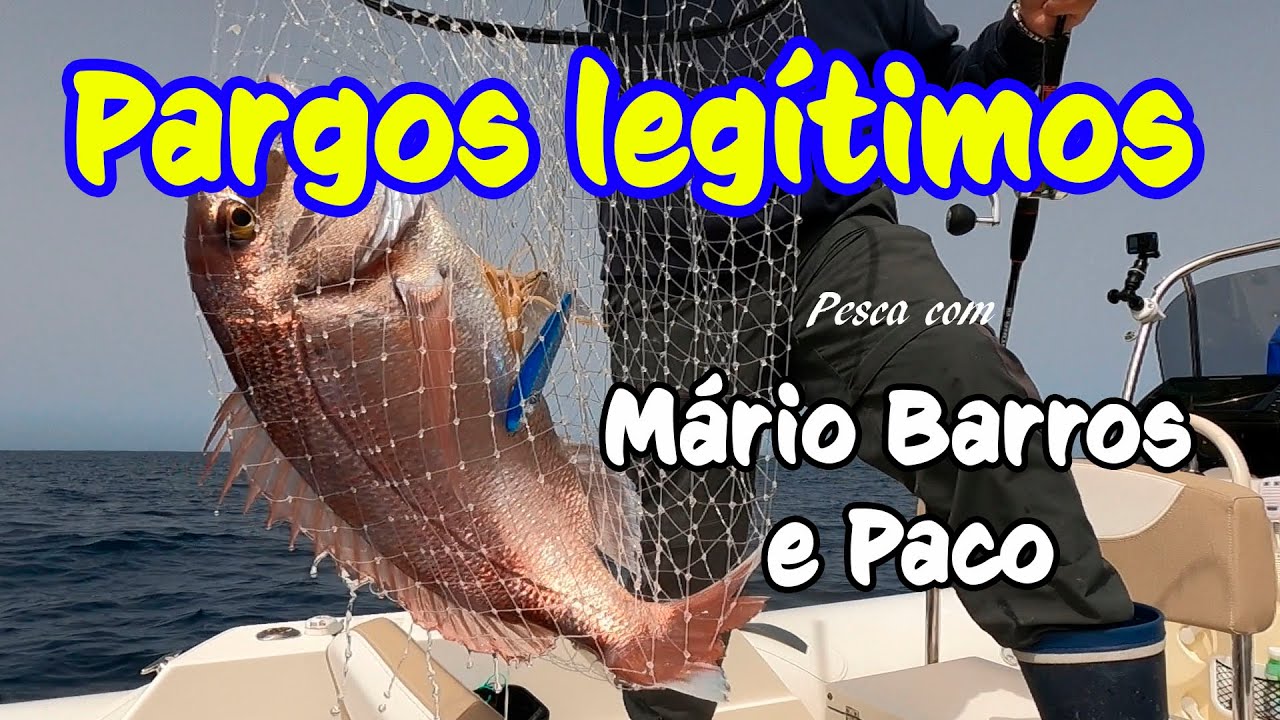 Paco   Review