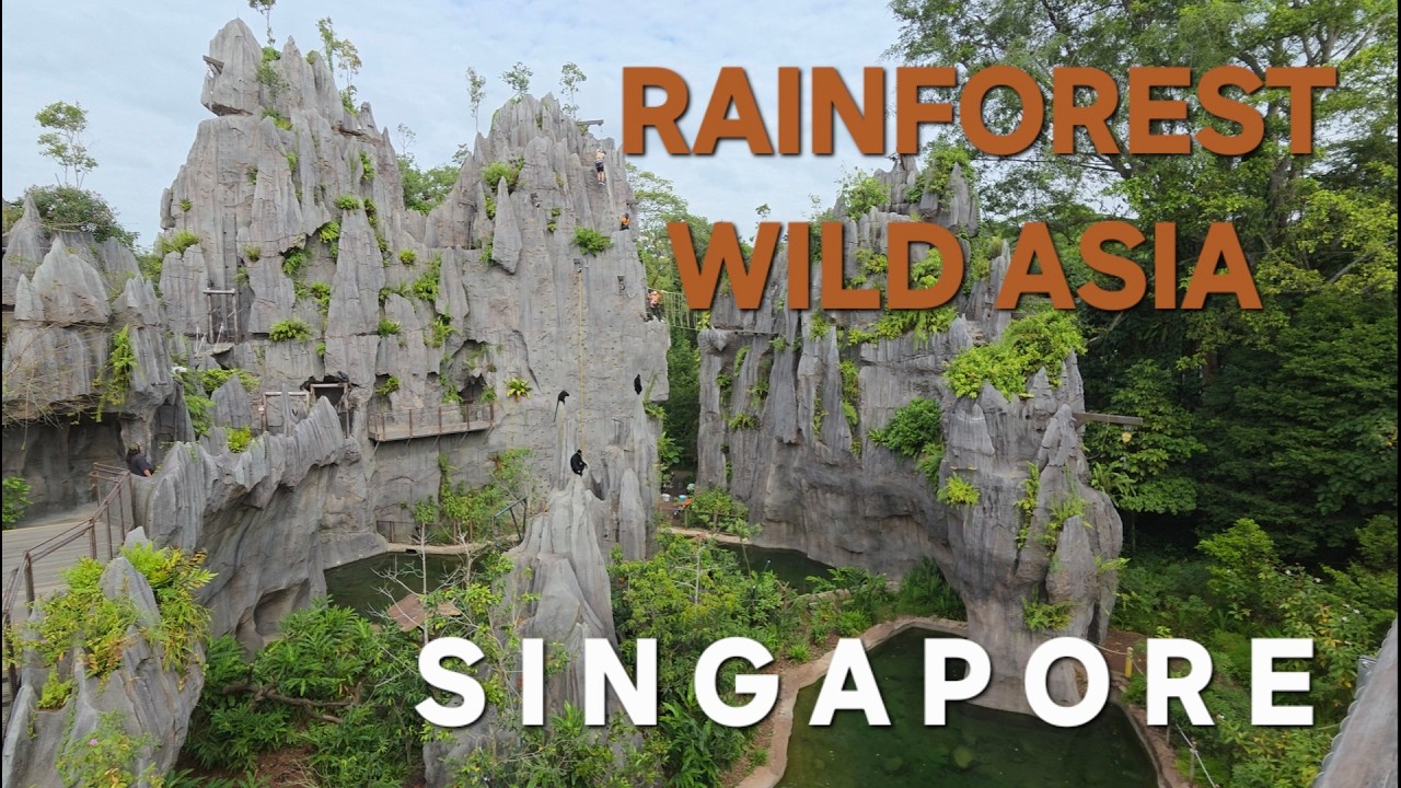 Rainforest Wild Asia Singapore condensed in 30mins