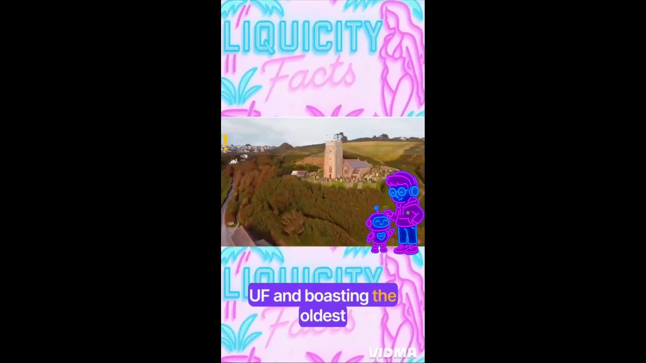 😁 Liquicity Facts Mix! SUBSCRIBE!