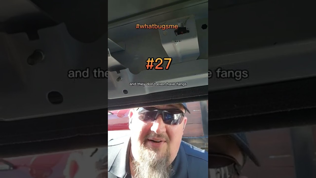 Quick Tips  #27 Grandaddy Long Leg ?Spiders?