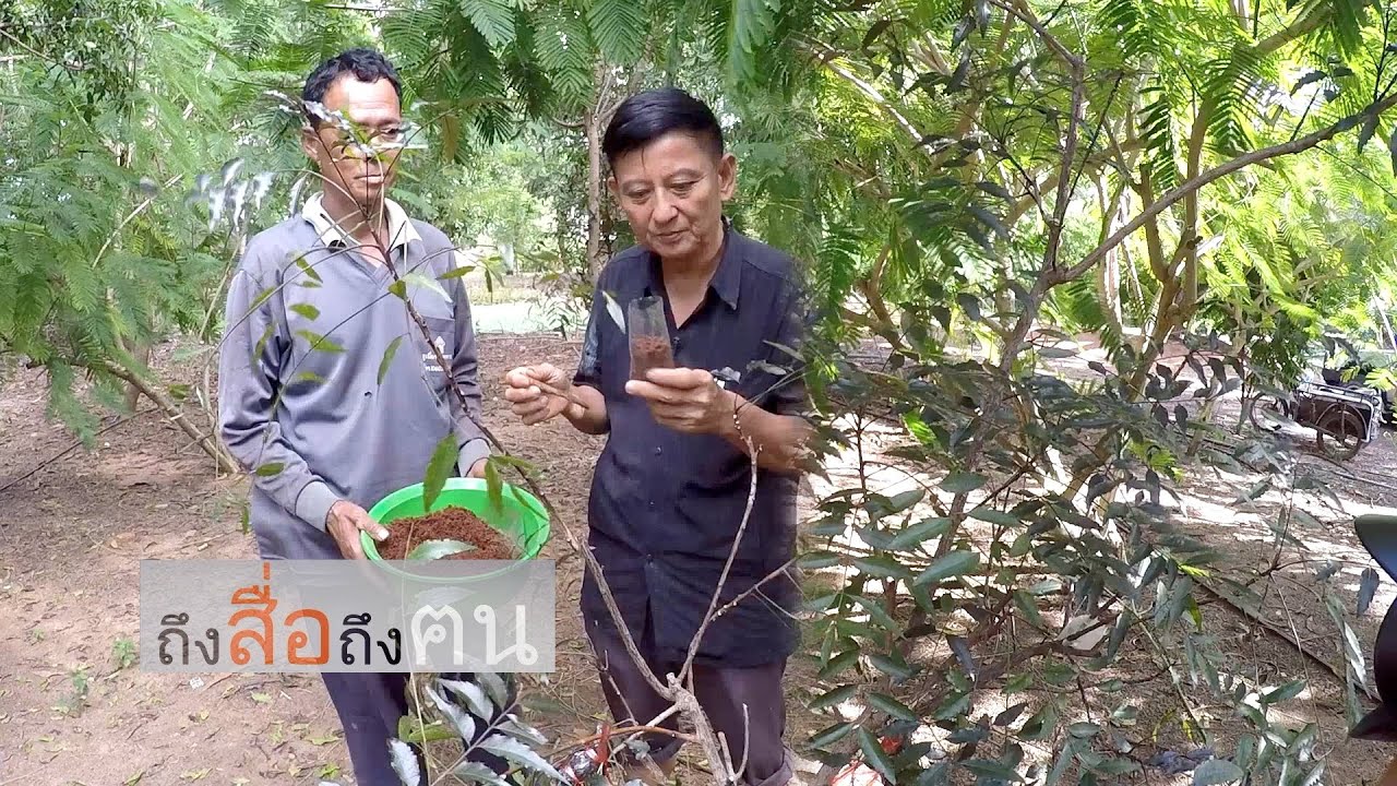 รายการถึงสื่อถึงคน ตอน อ.ทอง ธรรมดา//สามอาชีพฯ