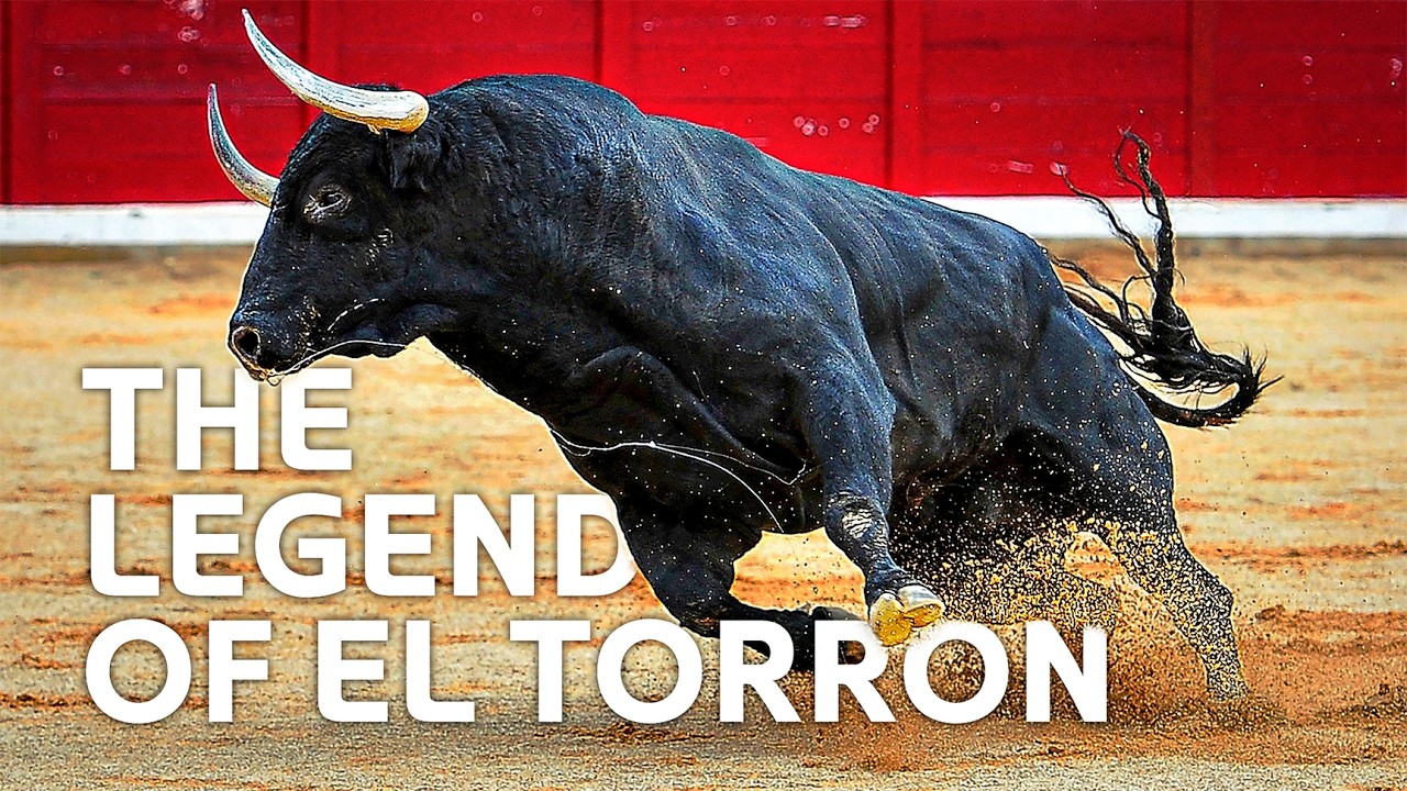The Fighting Bulls of Mexico | Spirit of the Bull