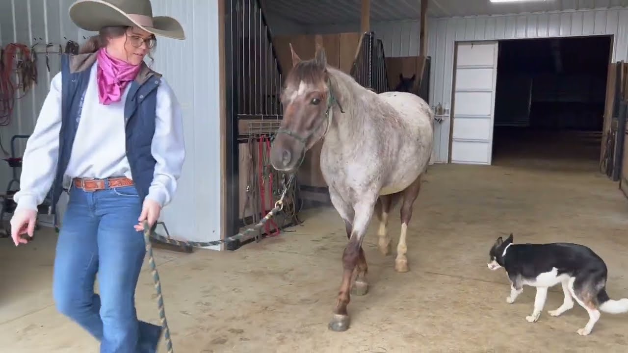 Cowboy