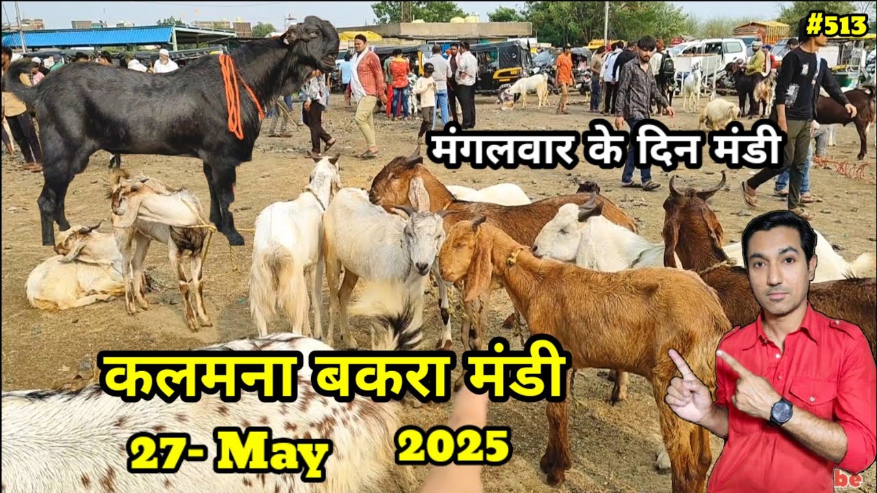 Kalamna Bakra Mandi Nagpur || कलमना बकरा मंडी 2025 || नागपुर बकरा मंडी 2025  Mohsin Youtuber Nagpur