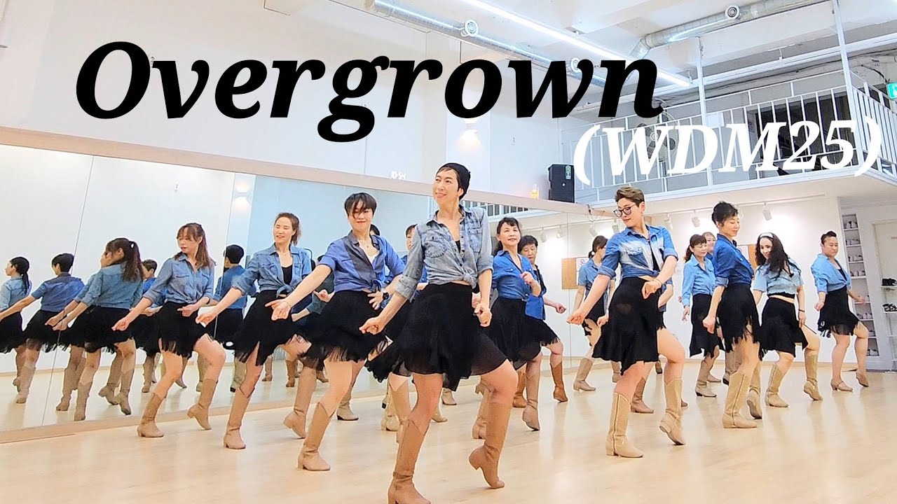 Overgrown LINEDANCE (WDM25)/토동 10~12시/중급라인댄스/Choreo:Fred Whitehouse/라인댄스배우는곳 010-5469-9632 민정희 