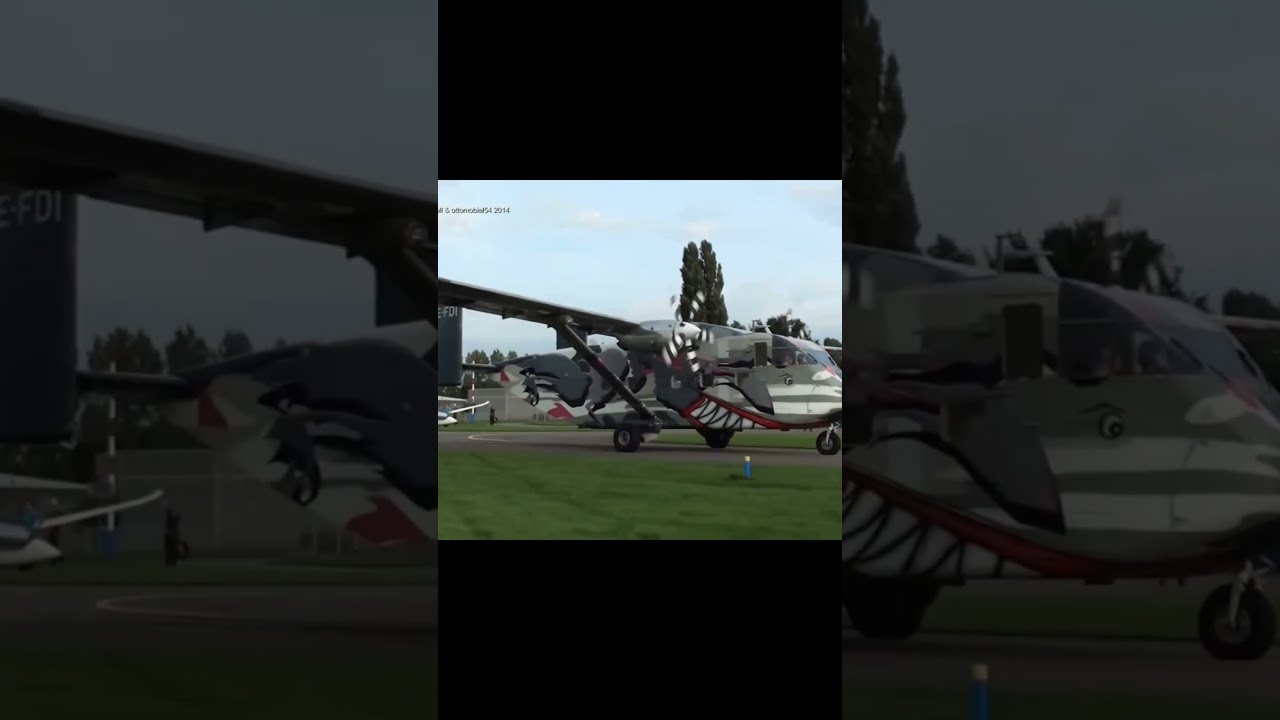 Special Skyvan OE-FDI Shark Painting 
