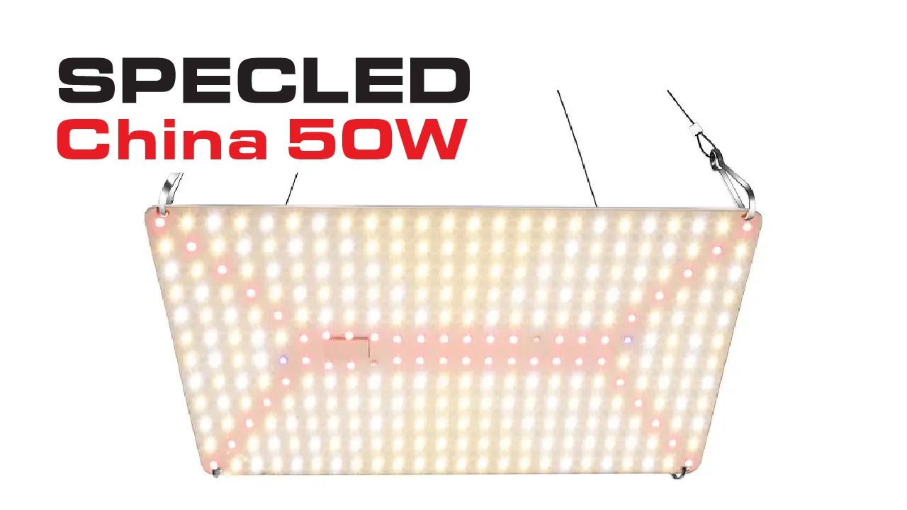 Фитолампа 50Вт полного спектра с AliExpress для полного цикла