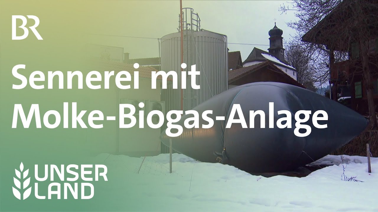 Wohin mit der Molke? Sennerei mit Biogas-Anlage | Unser Land | BR Fernsehen