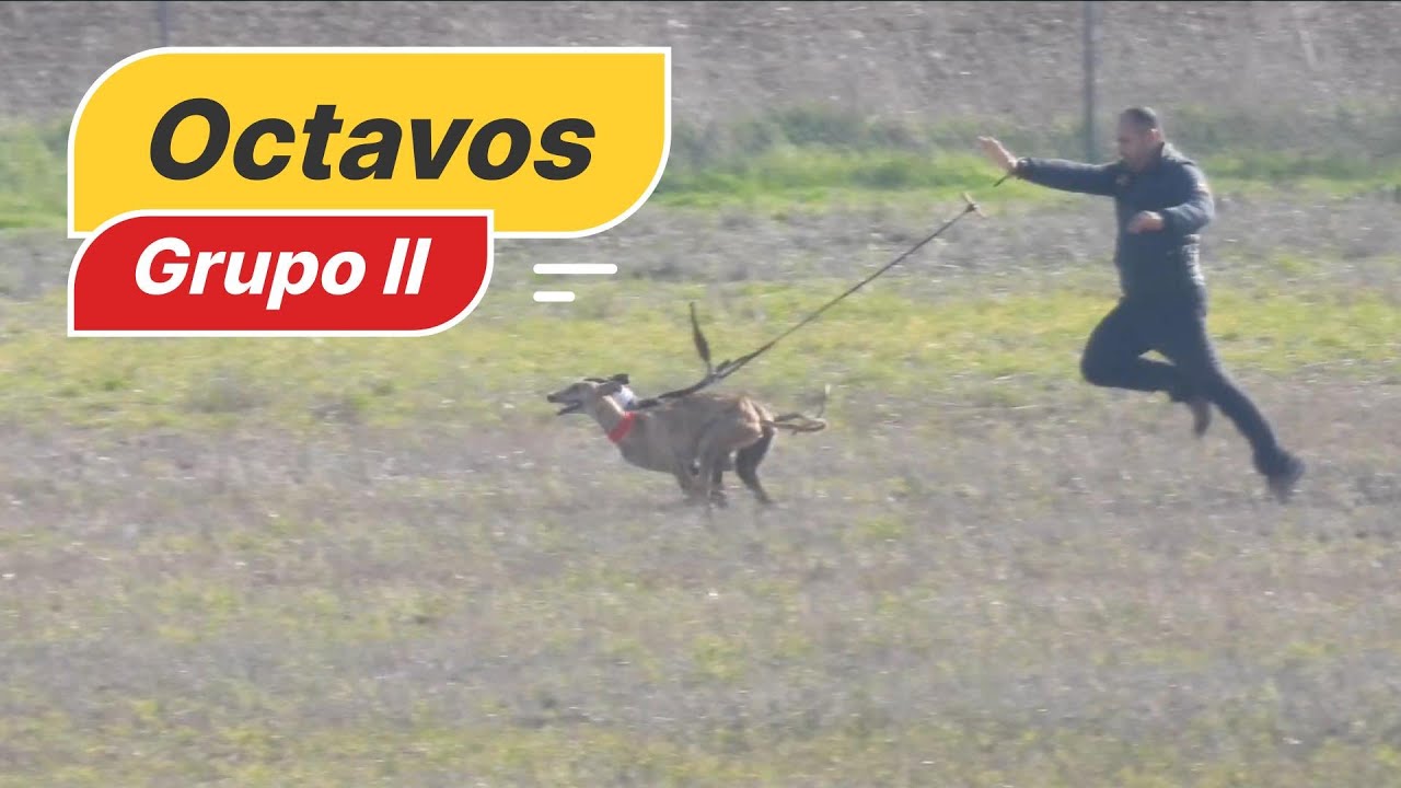 Octavos del grupo II, 30 de Noviembre 2024 en las Tramadas