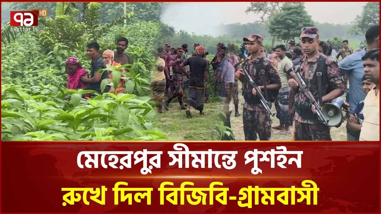 মেহেরপুর সীমান্তে পুশইন রুখে দিল বিজিবি-গ্রামবাসী | Meherpur Border | Ekattor TV
