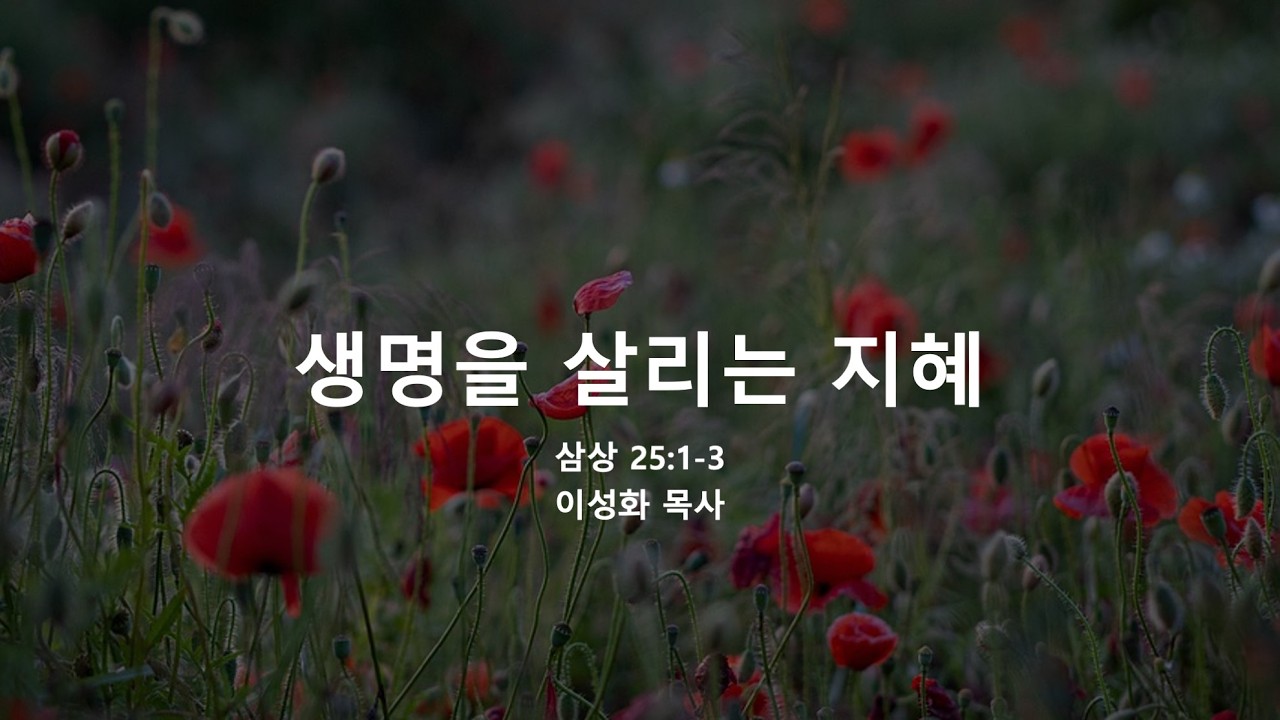 생명을 살리는 지혜_이성화목사_[강서아름다운교회]