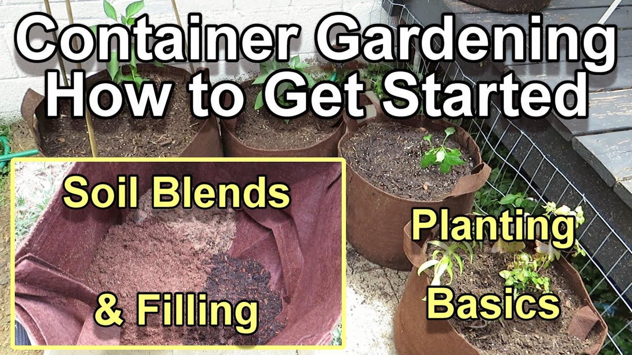 A Complete Guide to Filling, Placing, and Planting a Container Garden: Basic Principles to Adapt!