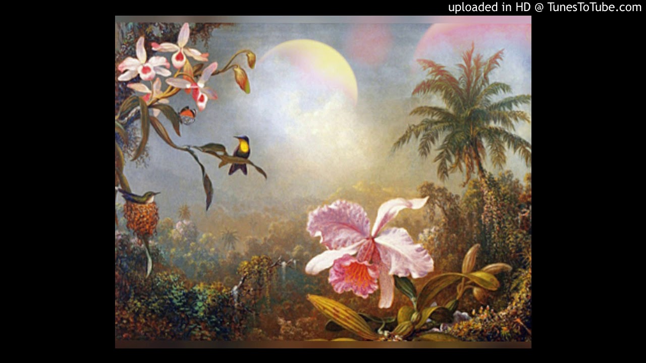 The Awakening