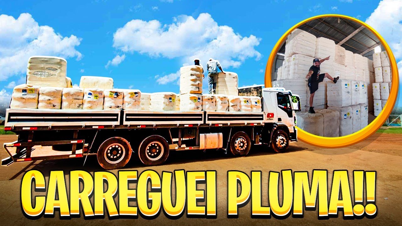 CARREGUEI PLUMA DE ALGODÃO NO BI-TRUCK, MATO GROSSO 🔥