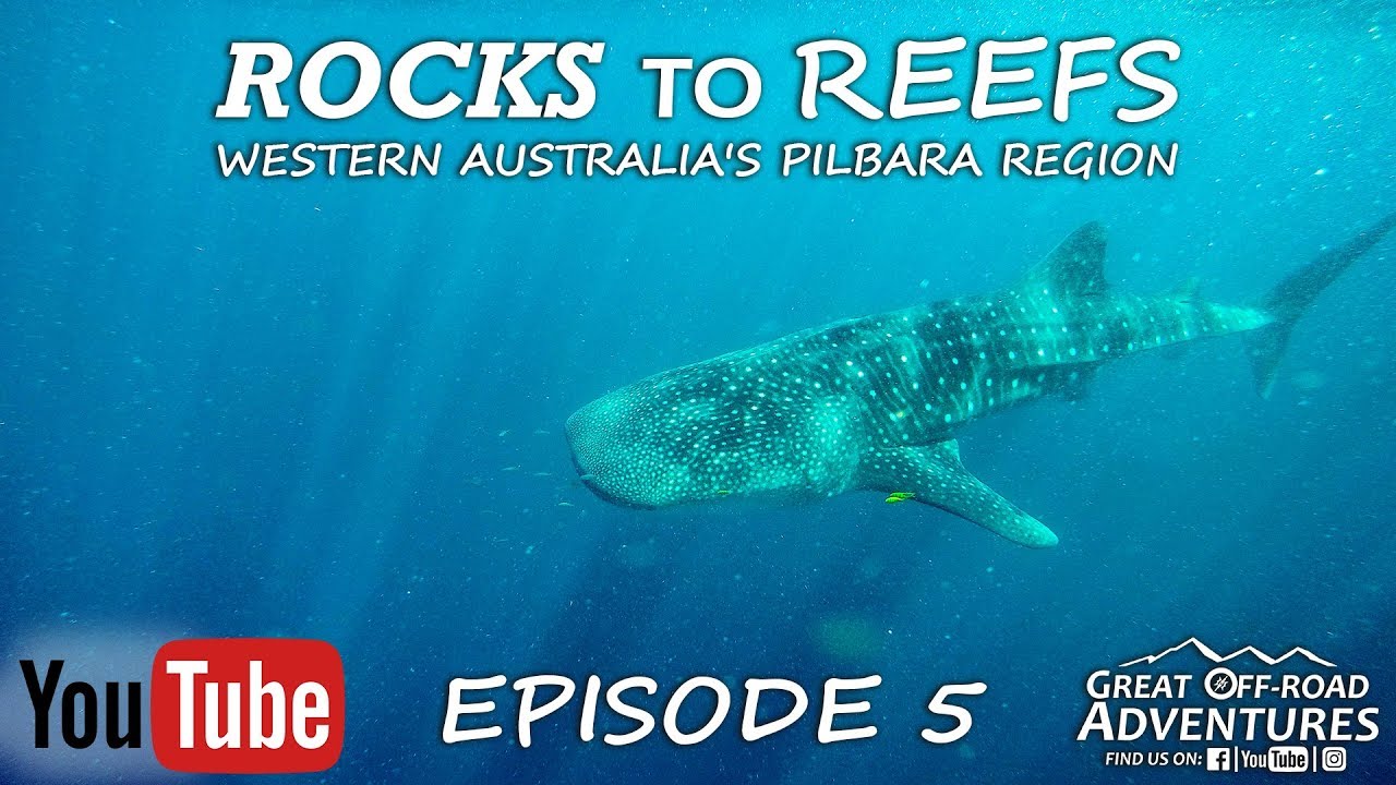 Rocks to Reefs Ep5 - Snorkeling,  Ningaloo Reef, Beach, Whale Shark, Overlanding, Exmouth