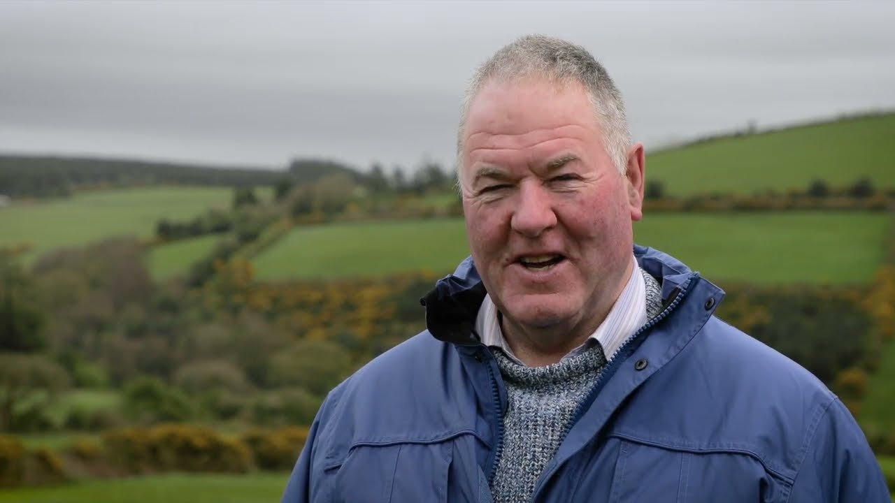 Croghan's Gold