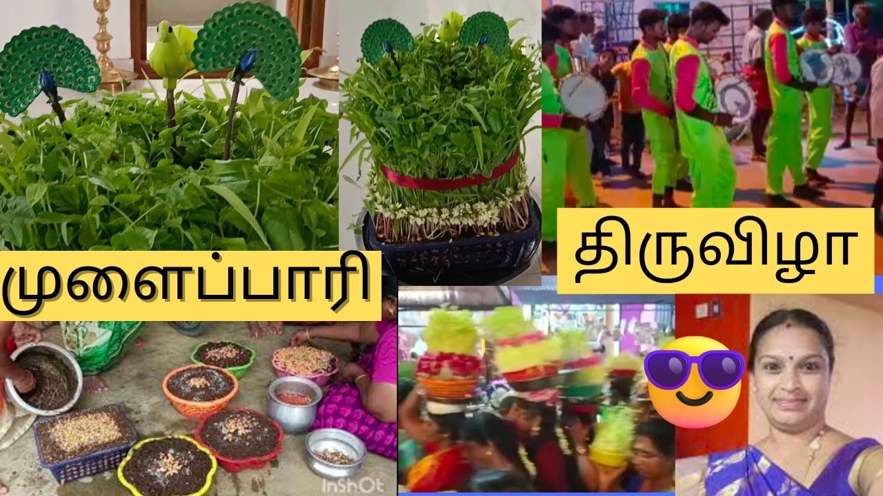 முளைப்பாரி வளர்ப்பு🪴/ ஊர்வலம்/ திருவிழா✨