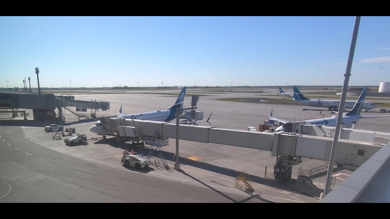 Westjet | Calgary - Phoenix | Boeing 737-800