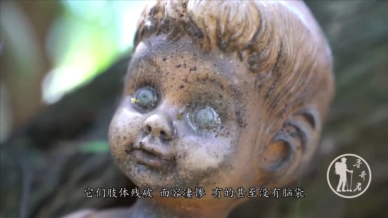 世界第一死亡小岛，签了生死状才给进去，你敢去吗？