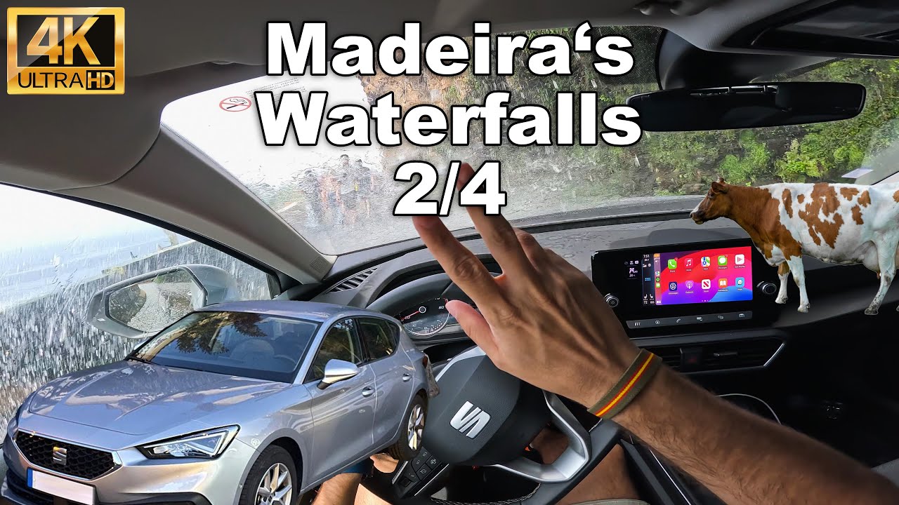 Madeira POV Drive 🌿 Seat Leon | Waterfall Roads & Mountain Cows in 4K