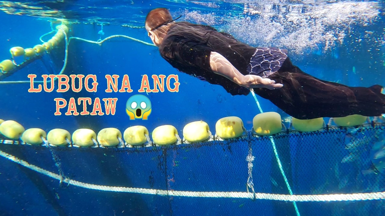 BUTI  NALANG NATALIAN KAAGAD NG ILAWAN YONG PATAW #fishing #fishboat #fish