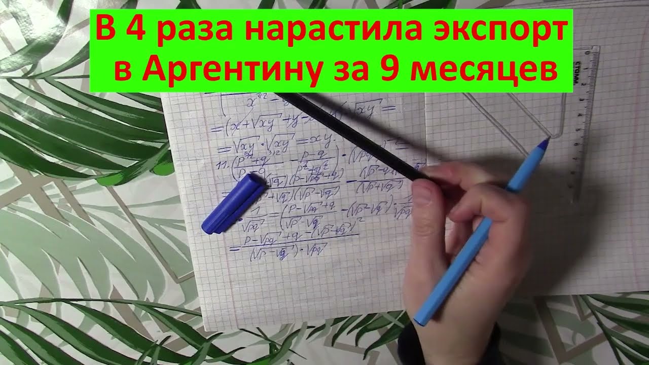 Назад пути нет! Мардан