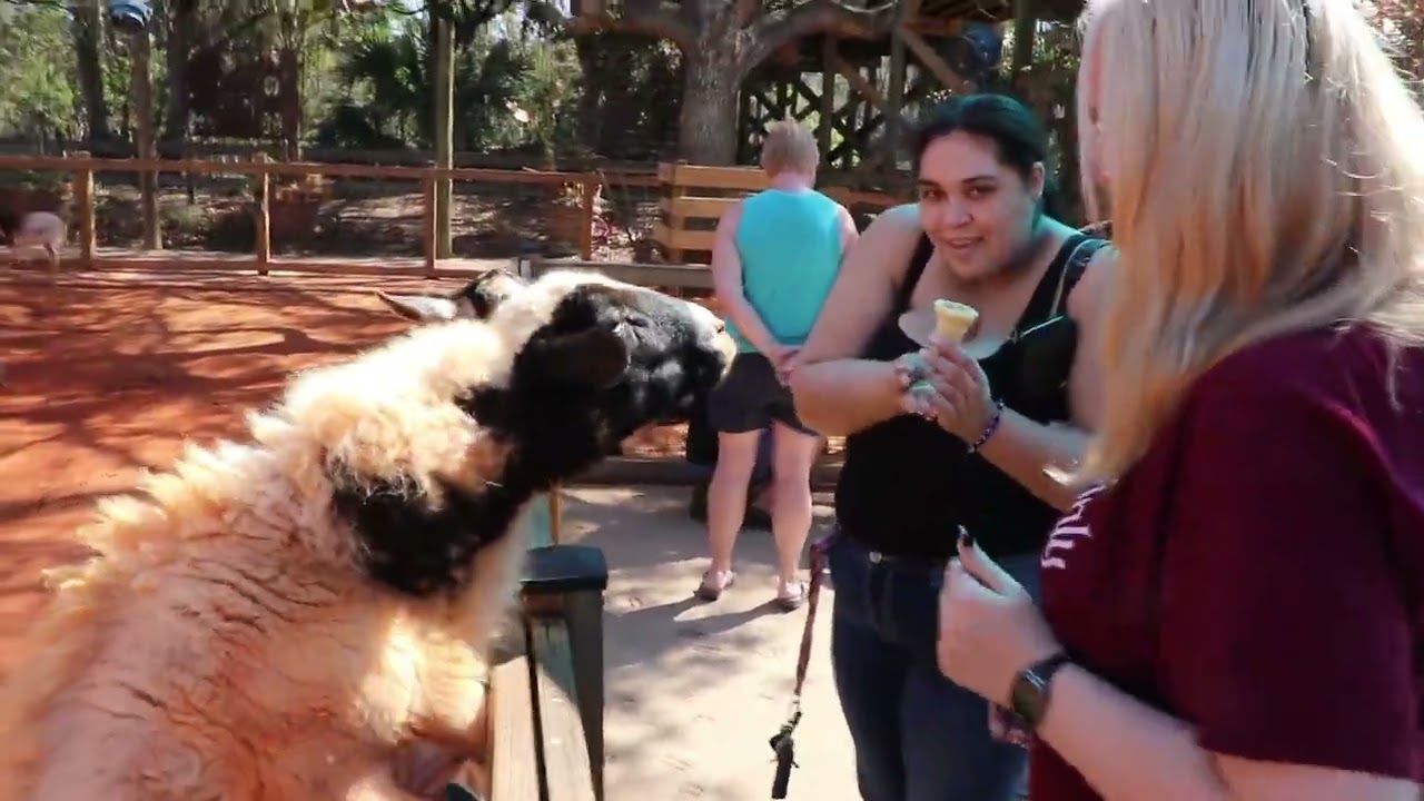 A Day at Gatorland 2026