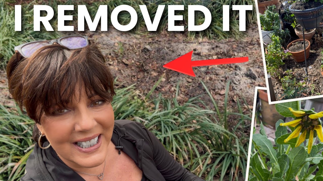 I Took Your Advice! Big Garden Updates for Spring 🦋 Florida Butterfly Garden Zone 10a