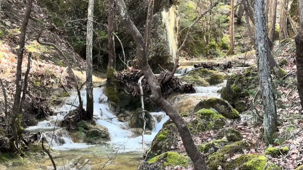 River Rapids White Noise | Relaxing Nature Sounds for Sleep, Calm & Focus