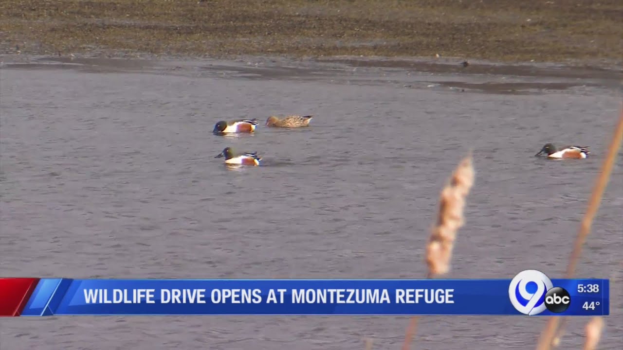 Montezuma wildlife refuge opens for season