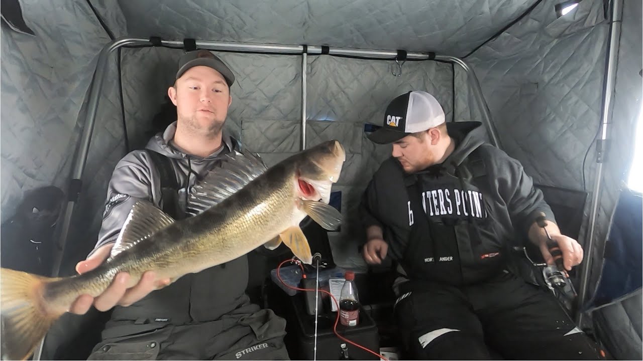 Northwest Angle LOTW Walleye and Sauger