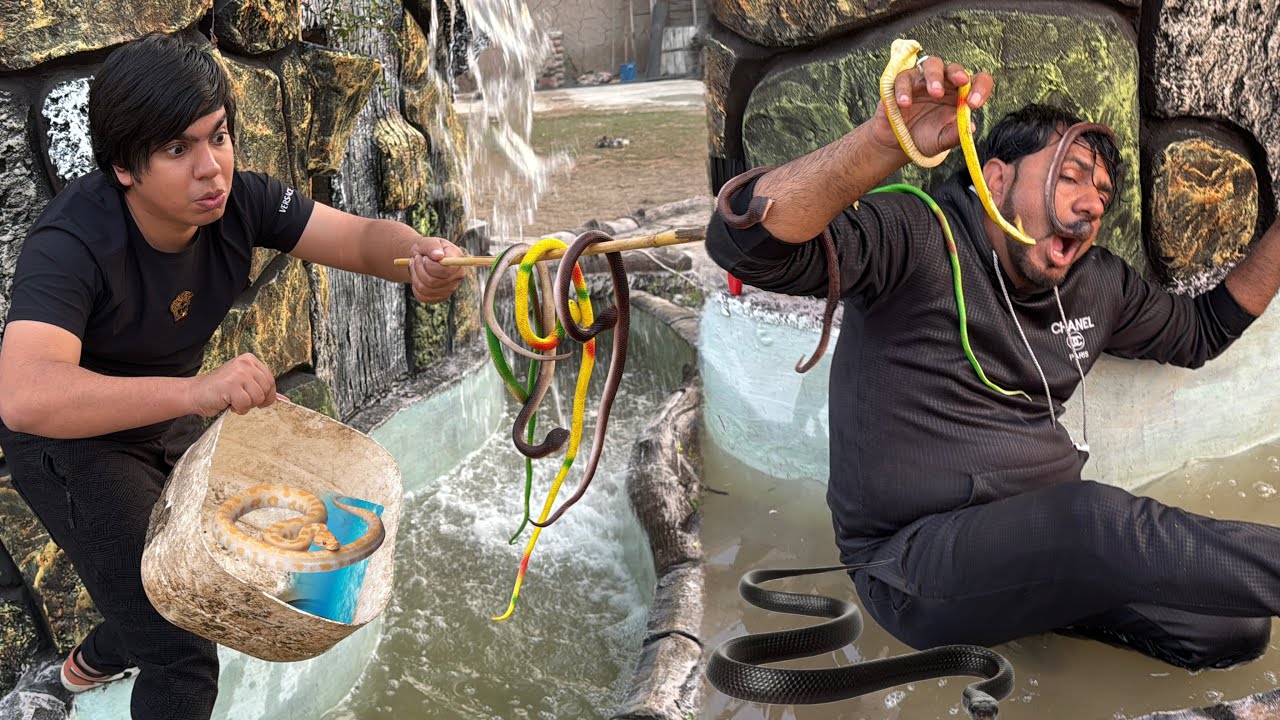 Pool Sy Bht Sara Snakes Nikal Aiy 🐍