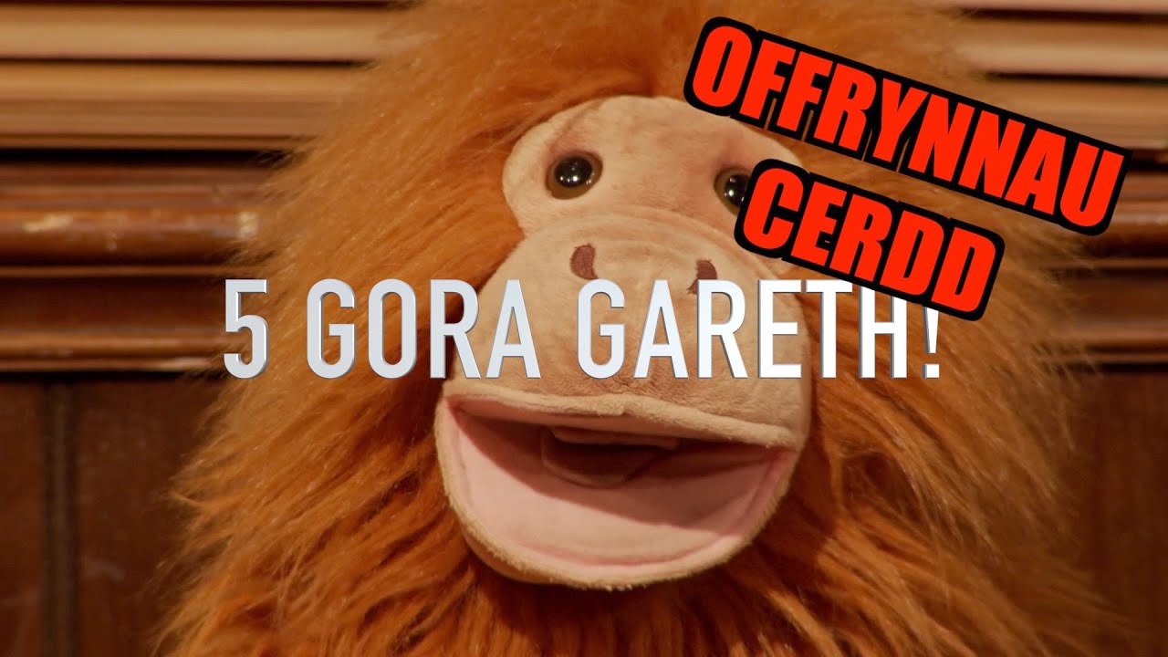 5 Gora Gareth -  Offerynnau Cerdd!