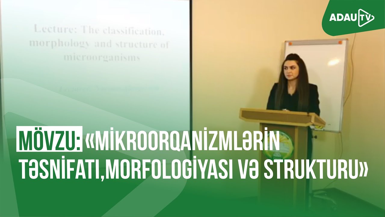 Mövzu: 