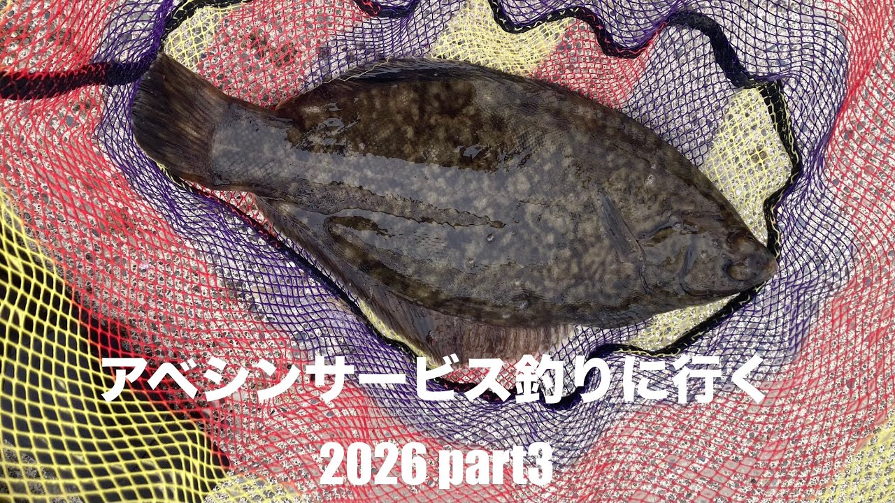 アベシンサービス釣りに行く　2026 part3 漁港でジギングしてたら⭕️⭕️⭕️が釣れちゃった！？