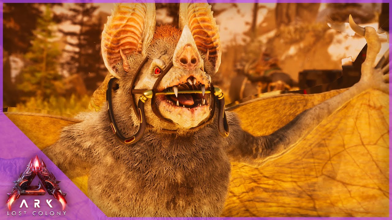LIVE 🔴 Can We Find A Better Desmodus?