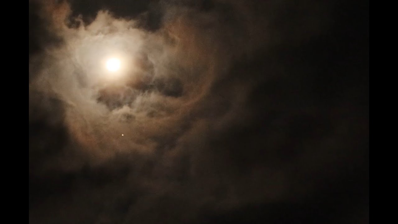 Night Life on Thaba Tholo Game Farm