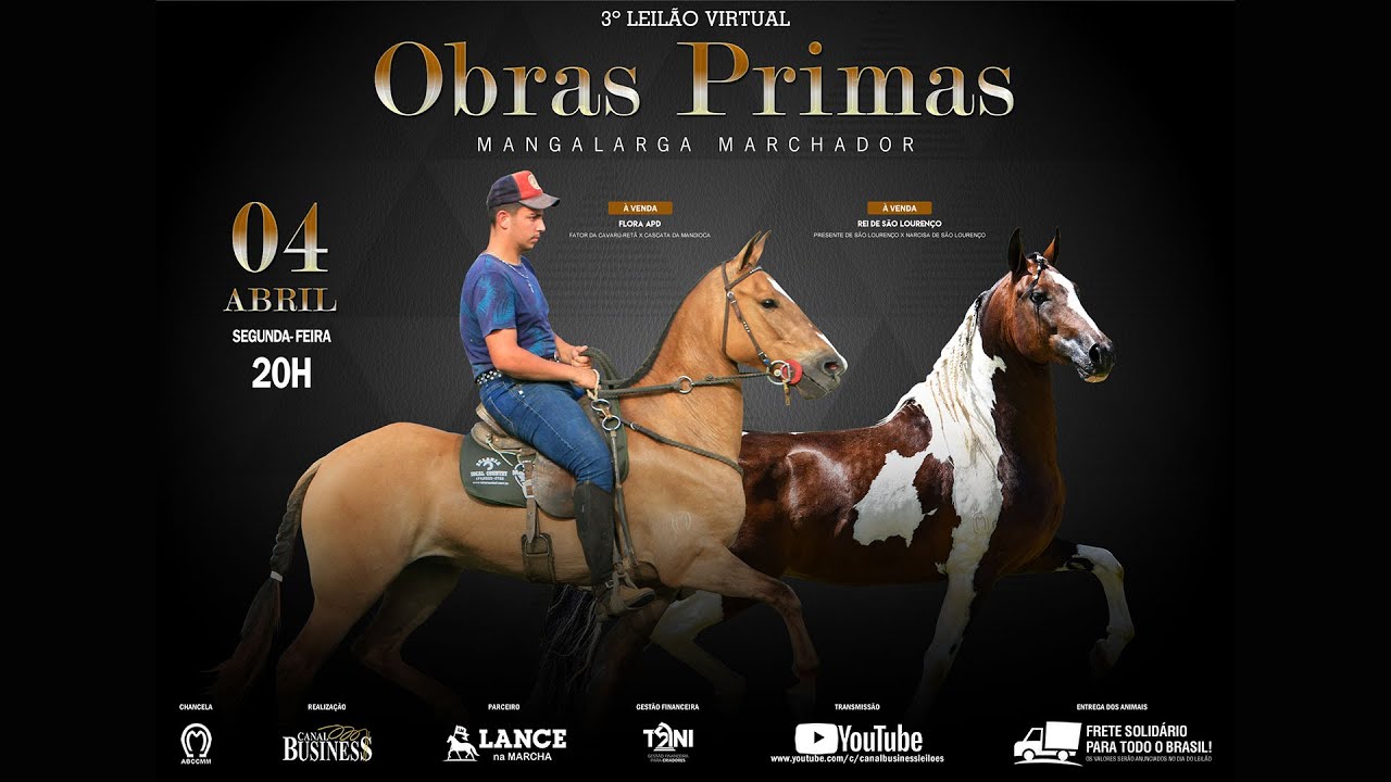 04-04 3º LEILÃO VIRTUAL OBRAS PRIMAS MANGALARGA MARCHADOR