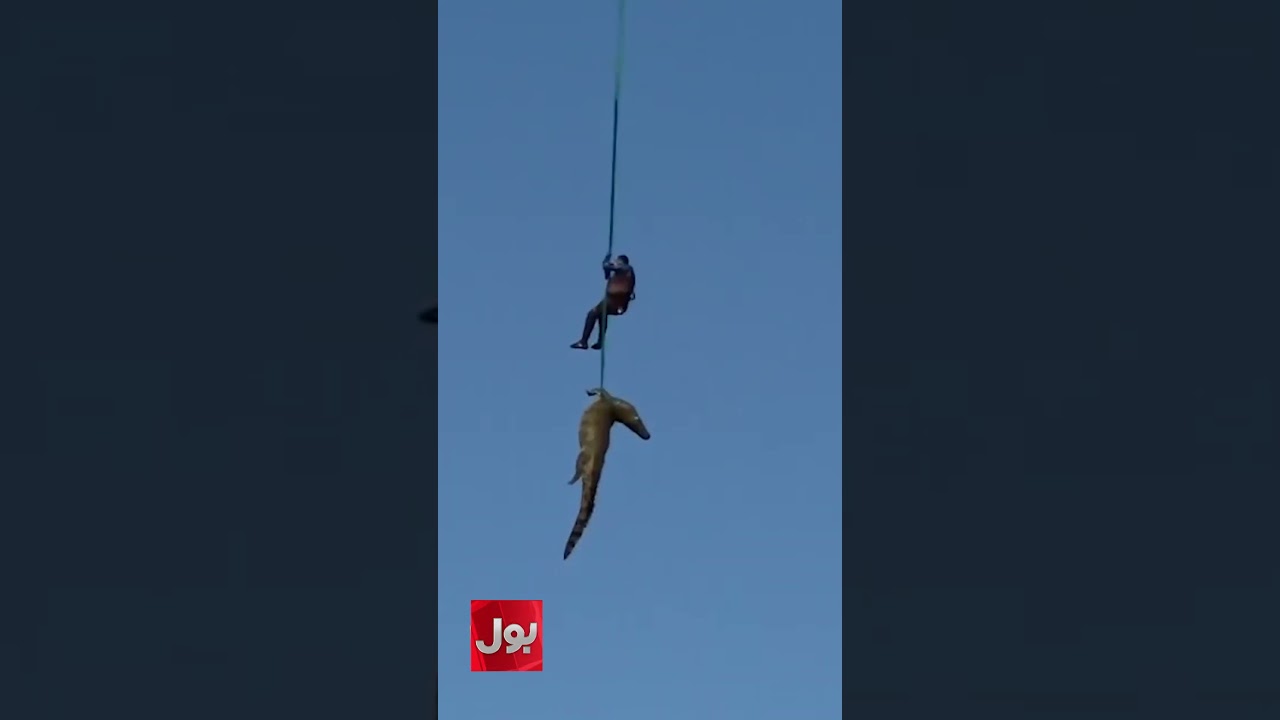 South African Police Service Officer Being Lowered from a Helicopter to Secure a Massive Crocodile