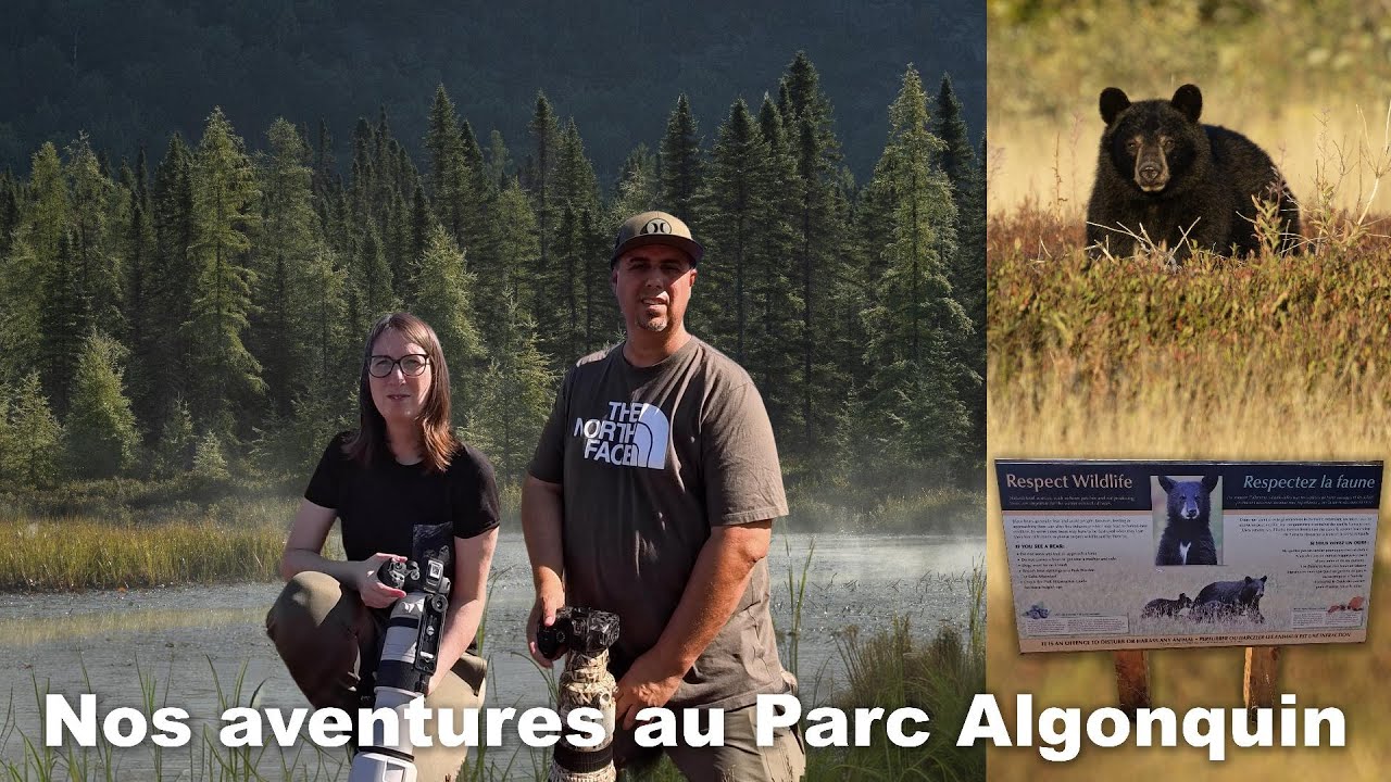 Nos aventures au Parc Algonquin