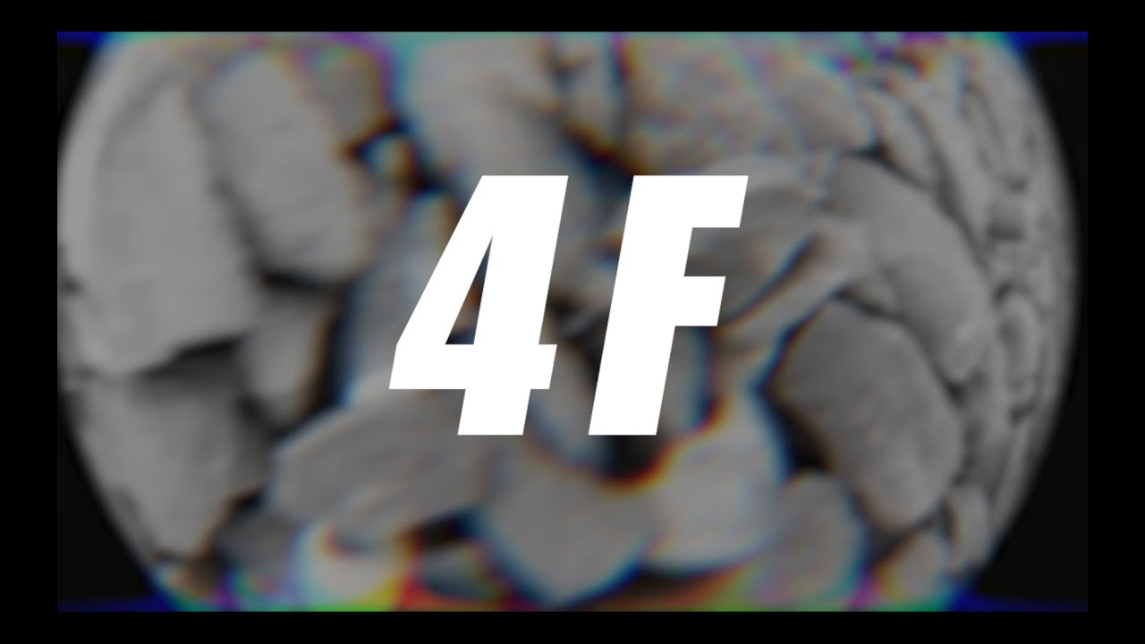 Władek JR - 4F feat. Włodek JR (official video)