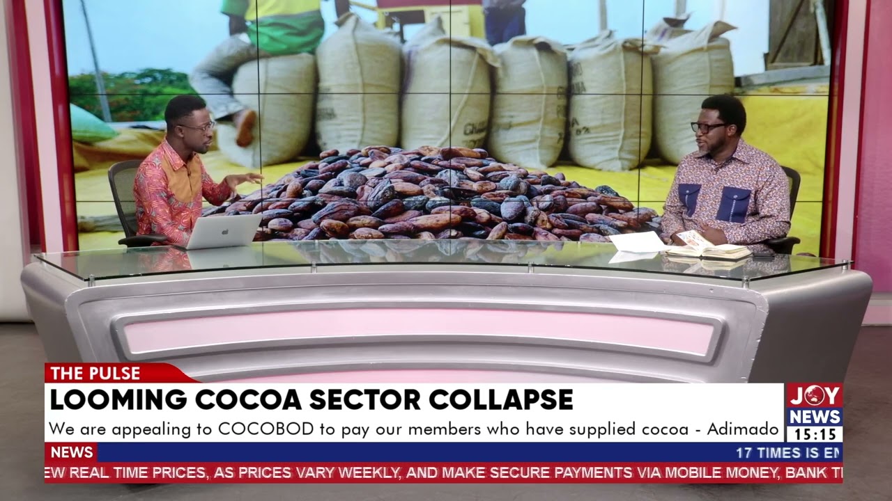 Looming Cocoa sector collapse: We need a hybrid funding model to prevent delays in payments.