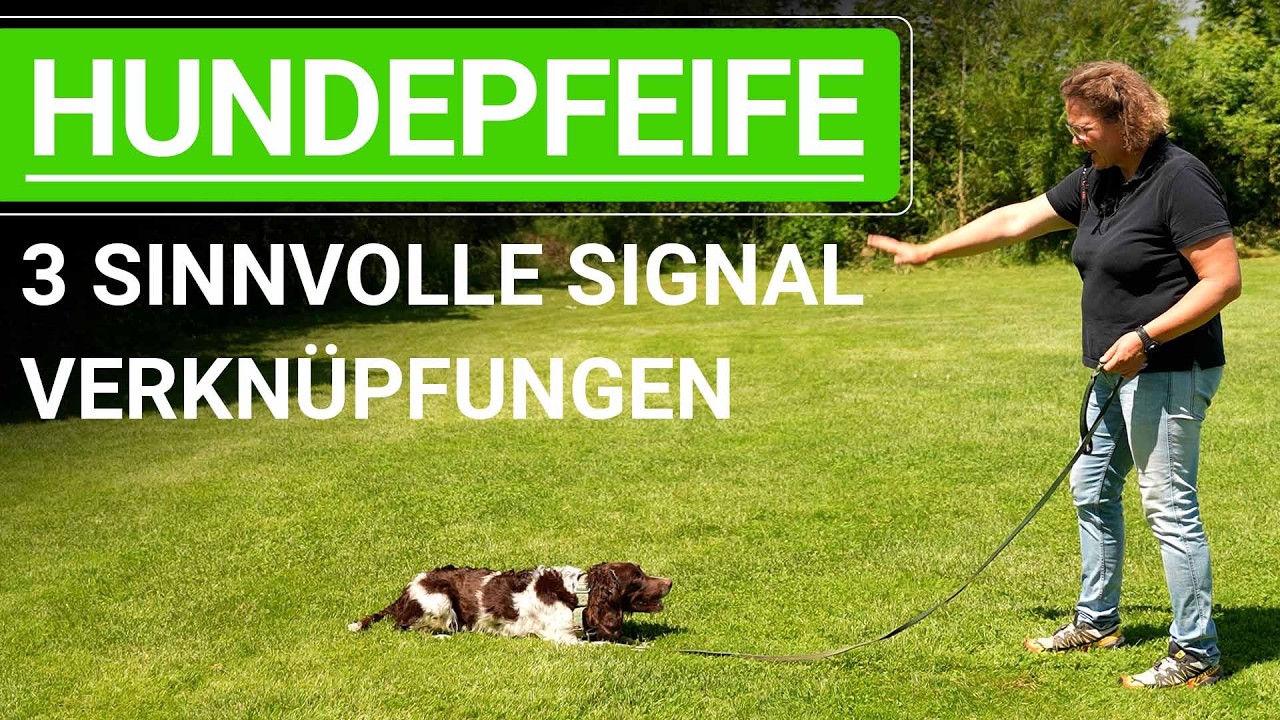 🐕🐶 3 sinnvolle Signalverkn&uuml;pfungen f&uuml;r das Training mit der Hundepfeife ➡️ Praxisvideo 🐕🐶✔️