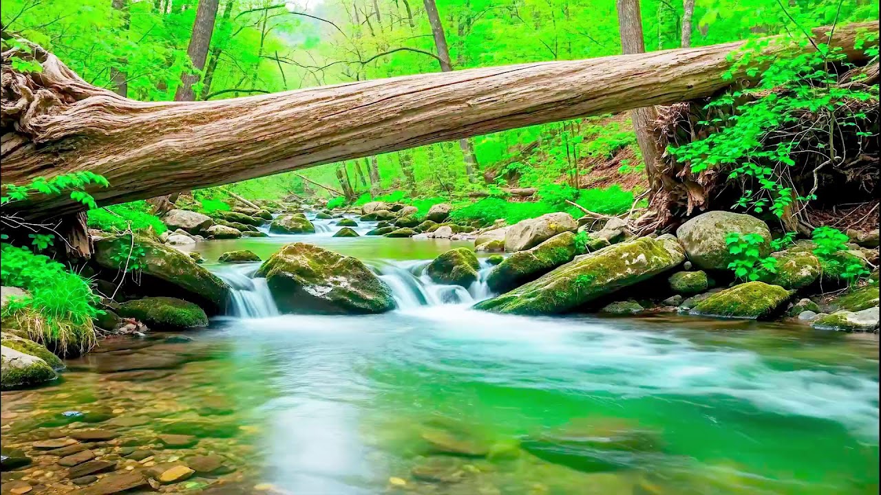Peaceful River Sound for Deep Sleep | Natural Therapy for Better Wellness and Health