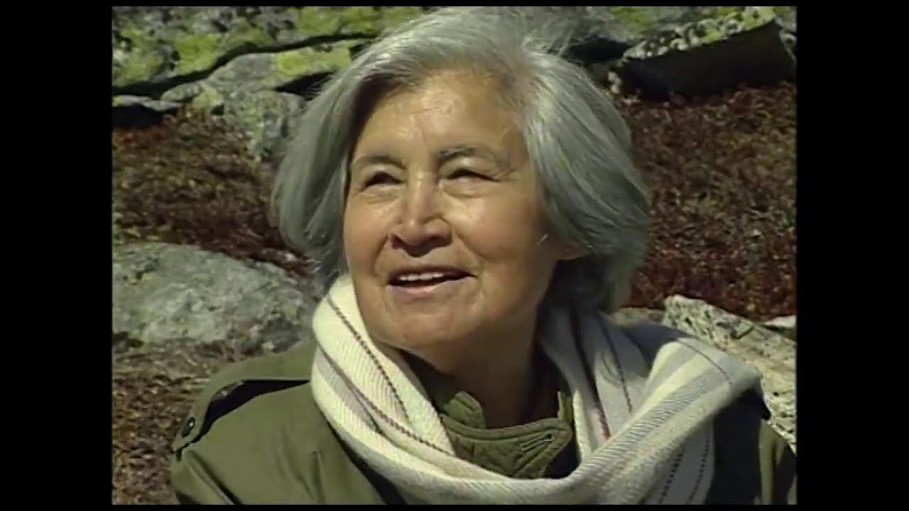 Maaliaaraq Vebæk, KNR 1995