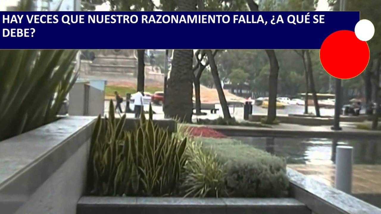 Leccion 3: Qu&eacute; es un razonamiento