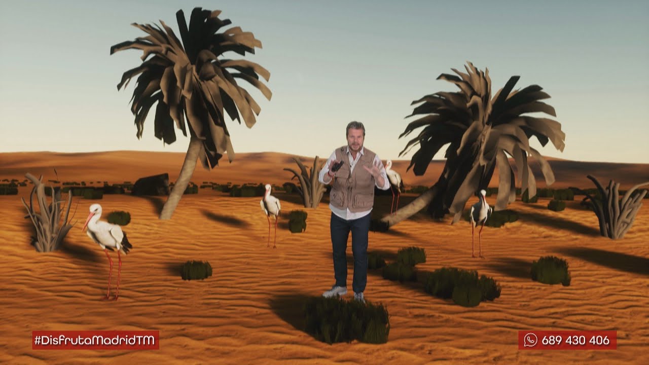 &iquest;De qu&eacute; manera viajan las aves migratorias que llegan a la Comunidad de Madrid?