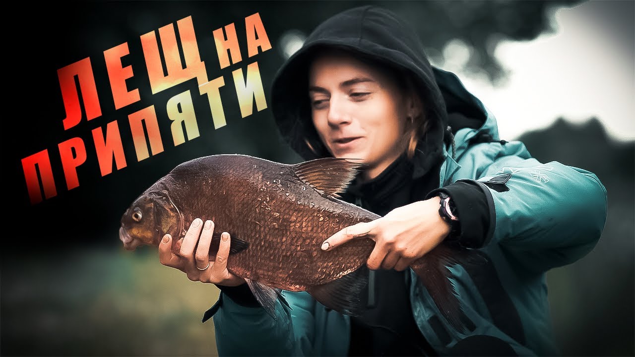 Лещ на Припяти. Мой новый рекорд.