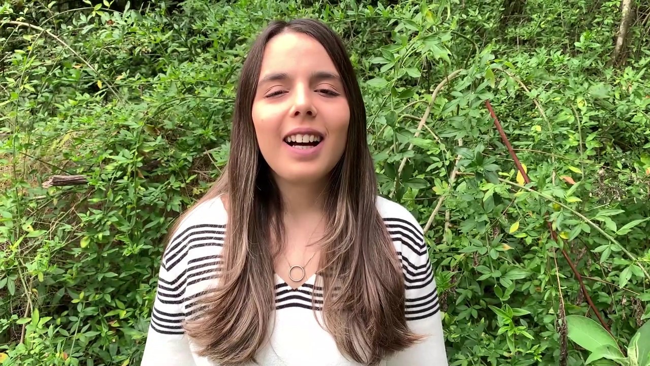 Responsabilidade civil dos adotantes pela devolução da criança ou do adolescente adotado