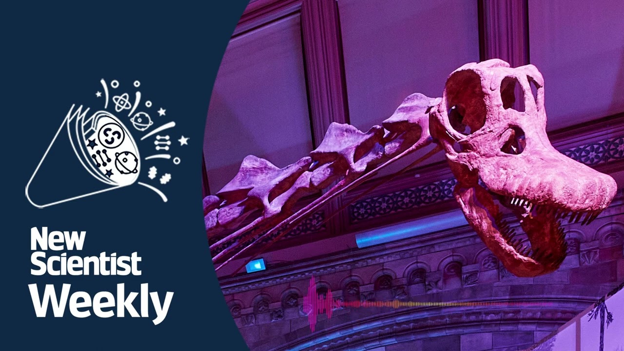 Meet Patagotitan mayorum, the largest known land-animal ever | New Scientist Weekly podcast 179